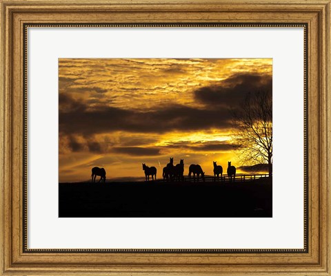 Framed Horses at Sunset Print