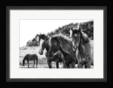 Framed Horses Three Print