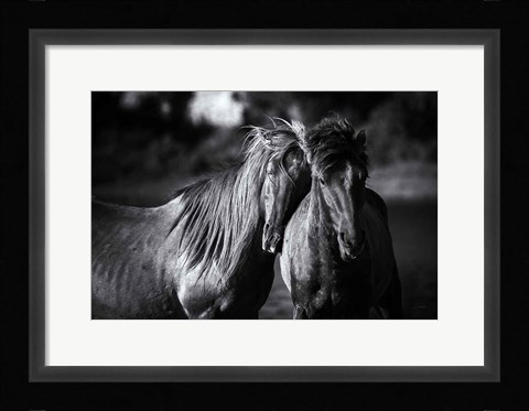 Framed Buddies Print