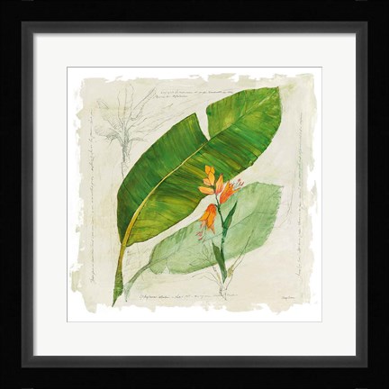 Framed Botanical Study I Light Print