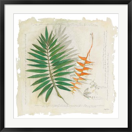 Framed Botanical Study II Light Print