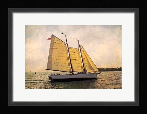 Framed Morning Sail Print