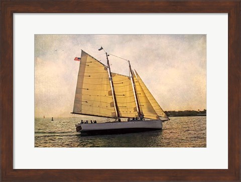 Framed Morning Sail Print