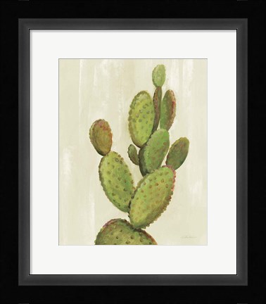 Framed Front Yard Cactus I Print