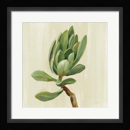 Framed Front Yard Succulent III Print
