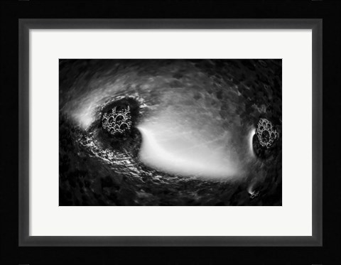 Framed Fabulous Little Creatures 15 Print