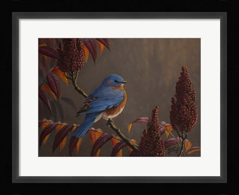 Framed Autumn Bluebird Print