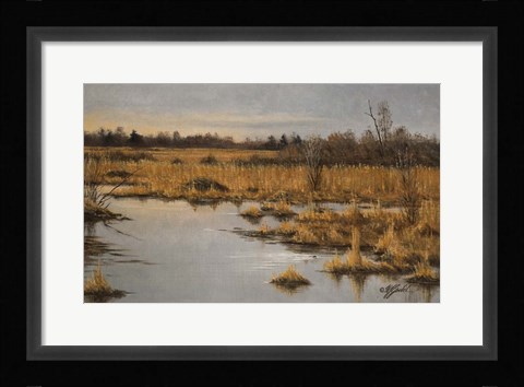 Framed Muskrat Marsh Print