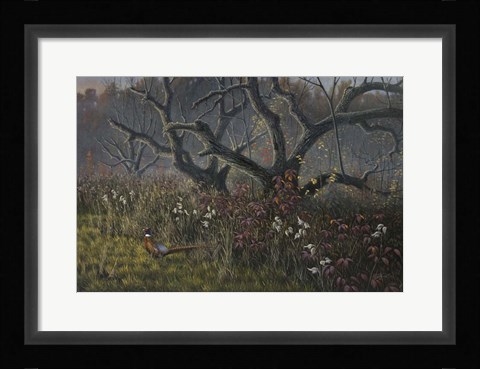 Framed Old Orchard and Pheasant Print