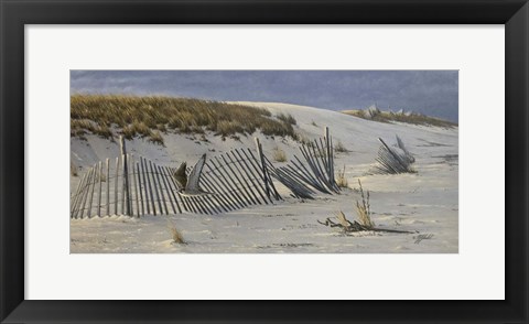 Framed Passage - Peregrine Falcon Print