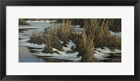 Framed Snipe Flight Print