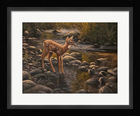 Framed Water's Edge - Fawn Print