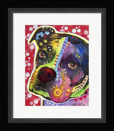 Framed Young Boxer Print