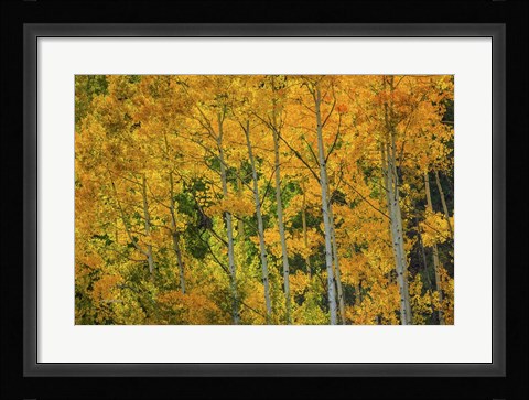 Framed Backlit Embrace Print