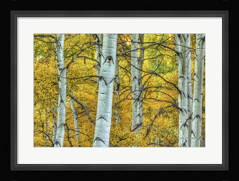 Framed Chaotic Beauty Print