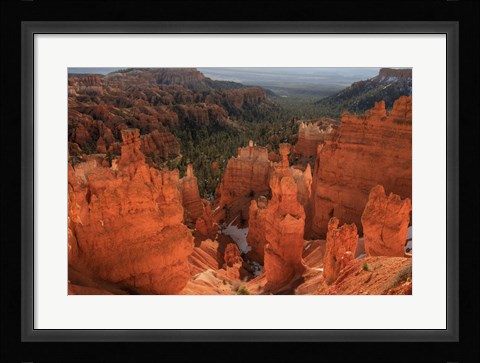 Framed Illumination Print