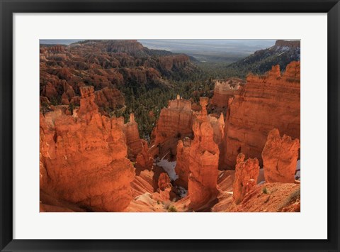 Framed Illumination Print