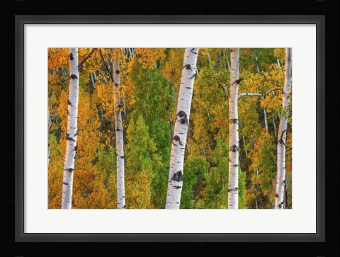 Framed Lines Of Grace Print