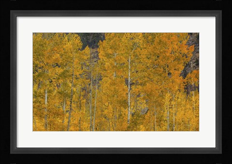 Framed Flames Of Autumn Print