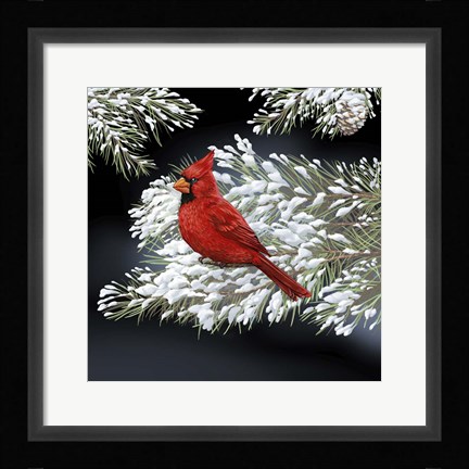 Framed Night Cardinal Print