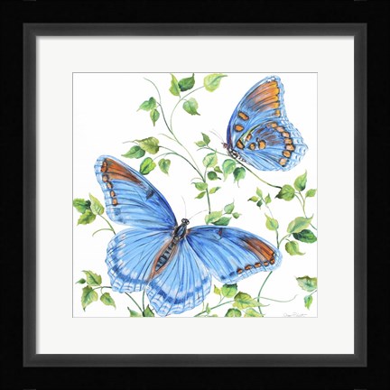 Framed Summertime Butterflies C Print