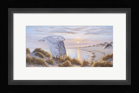 Framed Northern Visitor Print