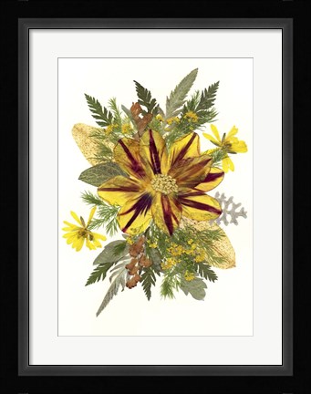 Framed Dried Tulip 1 Print