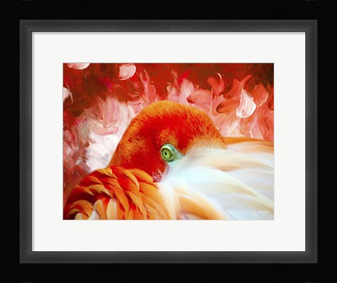 Framed Red Flamigo Print