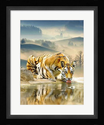 Framed Tiger Drinking Water Print