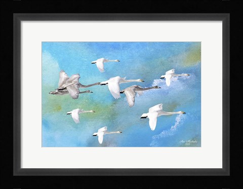 Framed Fly Far Away 2 Print