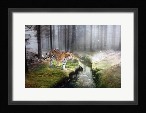 Framed Forest King 2 Print