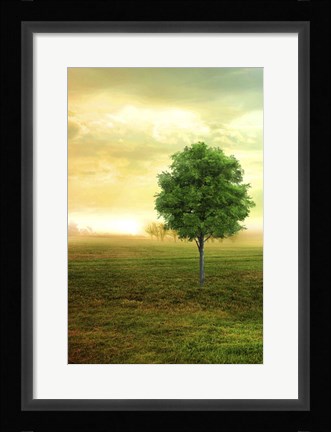 Framed Lone Green Tree Print