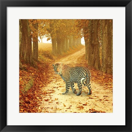 Framed Nature S10 Print