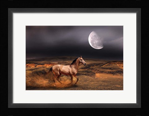 Framed Nature S20 Print