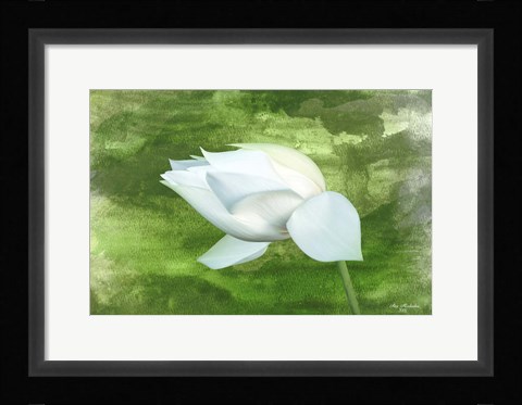 Framed White Lotus Print