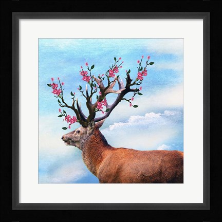 Framed Flower Head Print