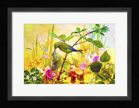 Framed Nature Bird And Flowers 3 Print