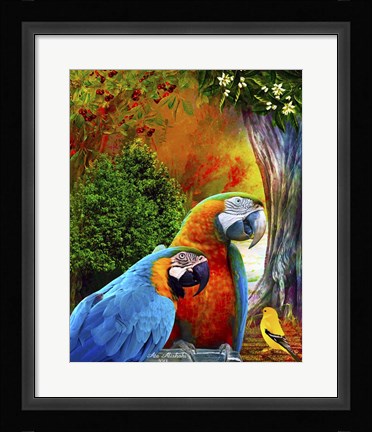 Framed Parrot Love 3 Print