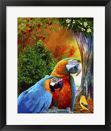 Framed Parrot Love 3 Print