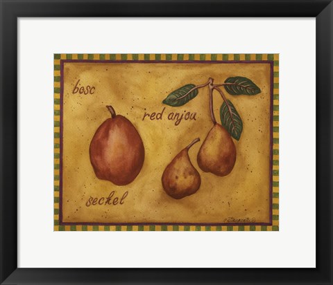 Framed Pears Bosc Red Anjou Seckel Print