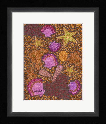 Framed Shells Print