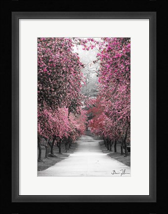 Framed Cotton Candy Walk Print