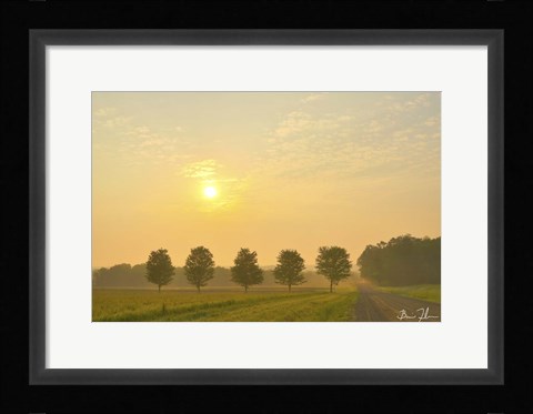 Framed Country Morning Glow Print