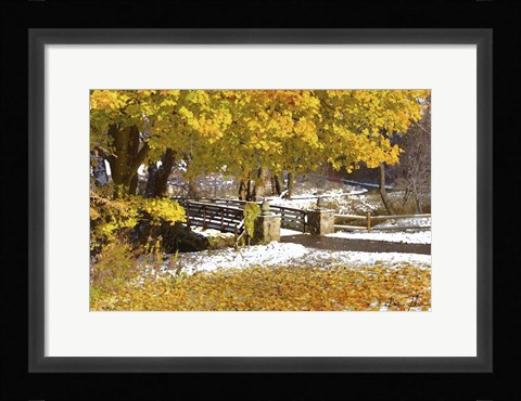 Framed Autumn Snow Print