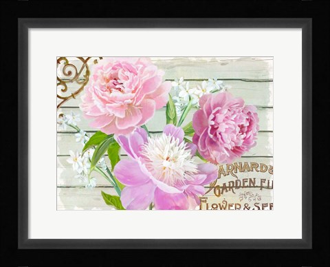 Framed Farm Seed Peonies Print
