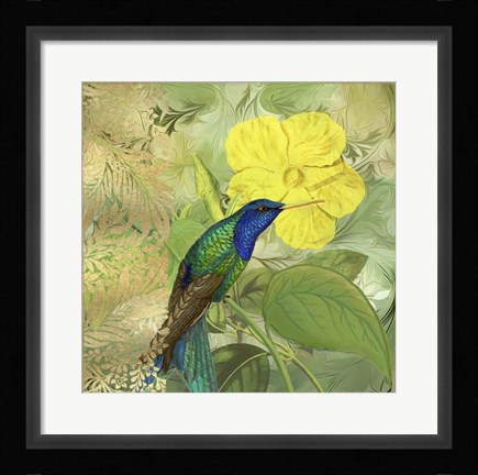 Framed Hummingbird Green Blue Print