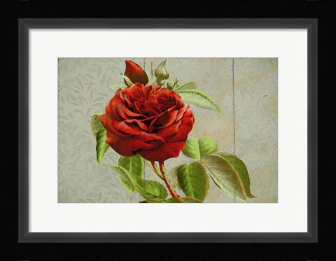 Framed Red Rose Painted on Wooden Panel Print