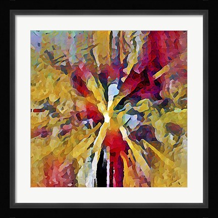 Framed Dragonfly Print