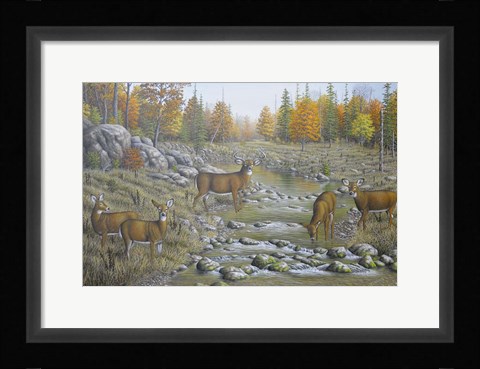 Framed Autumn Whitetails Print
