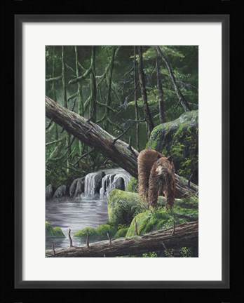 Framed Deep Woods Fisherman Print
